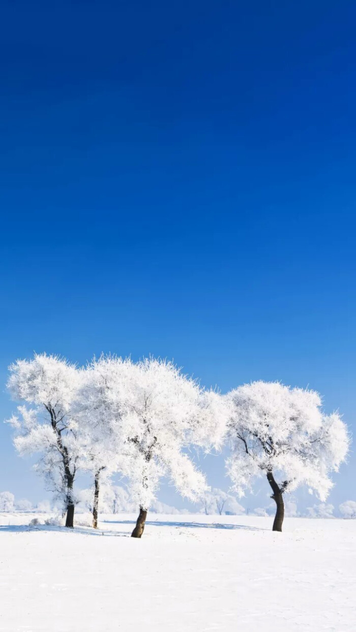 小雪