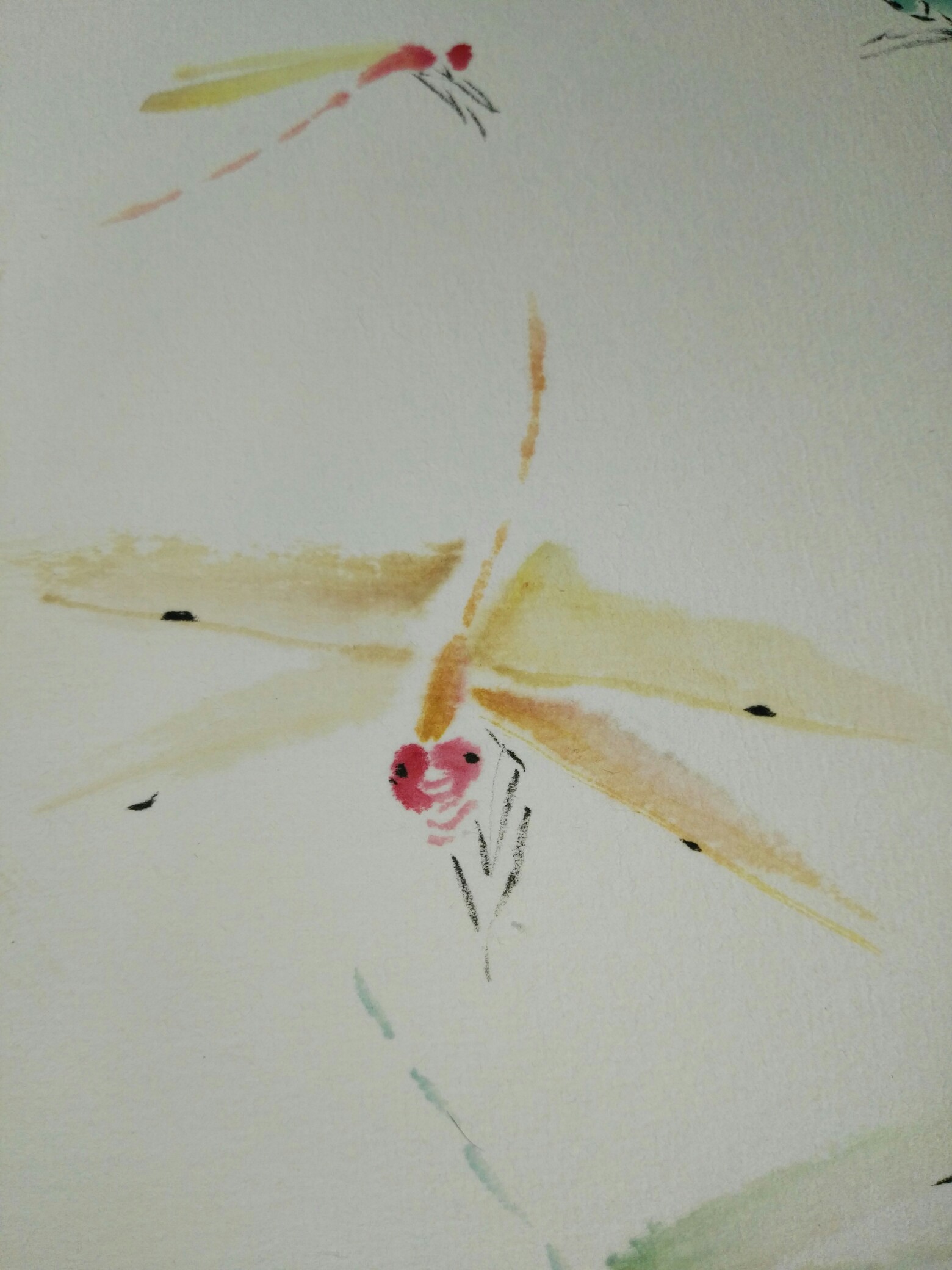 《写意蜻蜓"