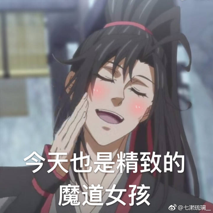 魔道祖师表情包 (含天赐 渣反 杀破狼)