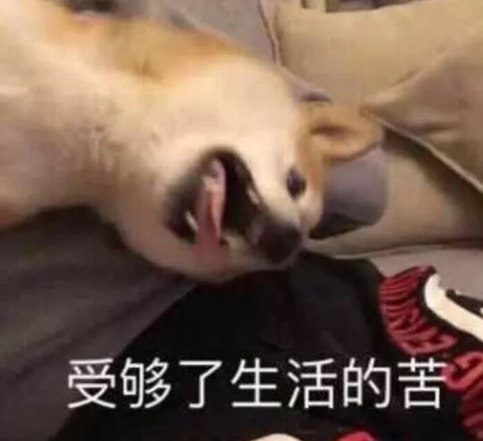走心表情包