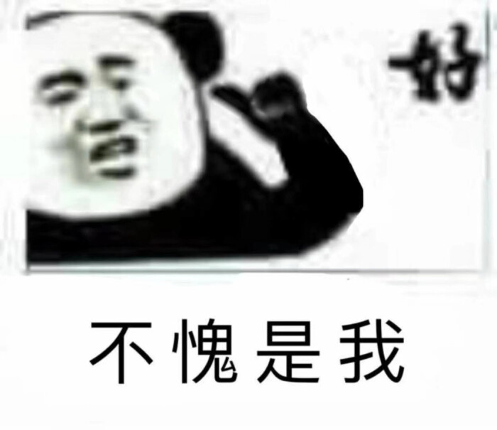 表情包 沙雕图 熊猫头