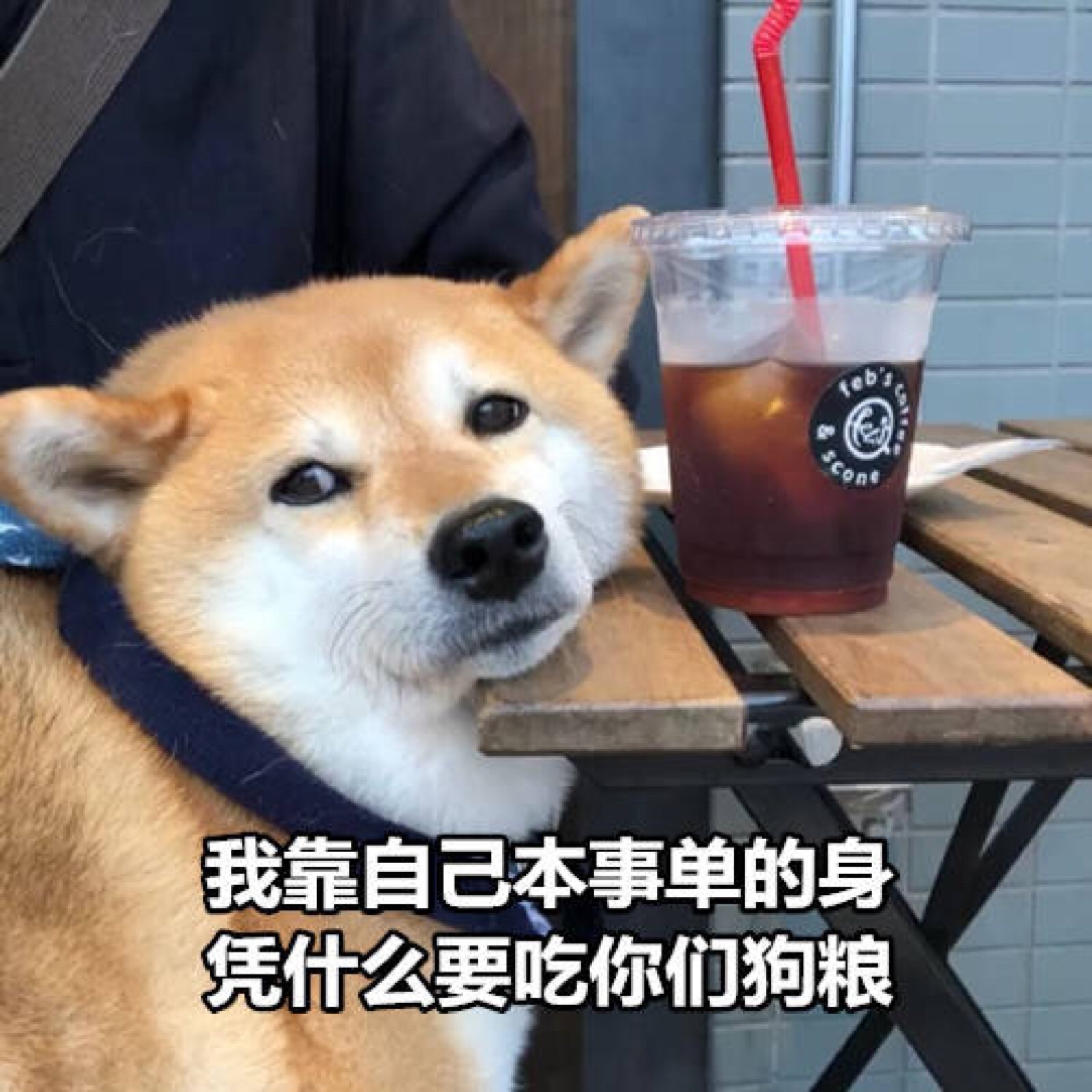 七夕单身狗表情包