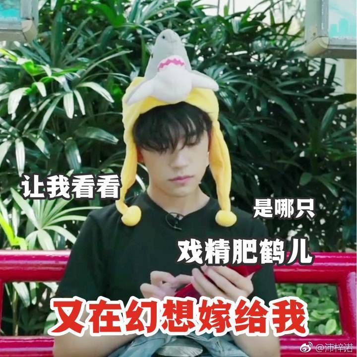 tfboys表情包
