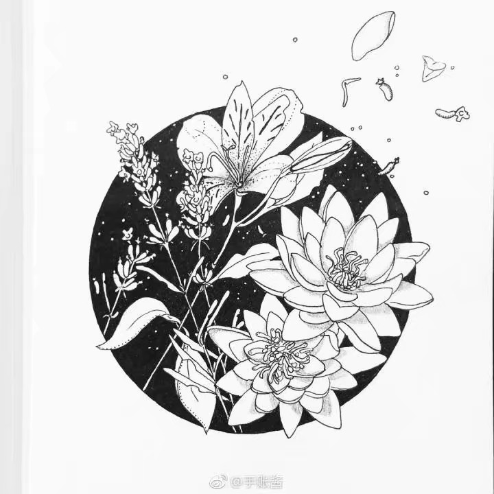 黑白画,线描