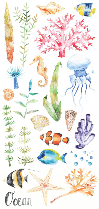 手账 水彩 植物绘画 海底世界 平面设计 贴纸素材