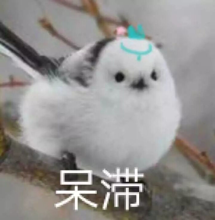 表情包.长歌门.剑网三