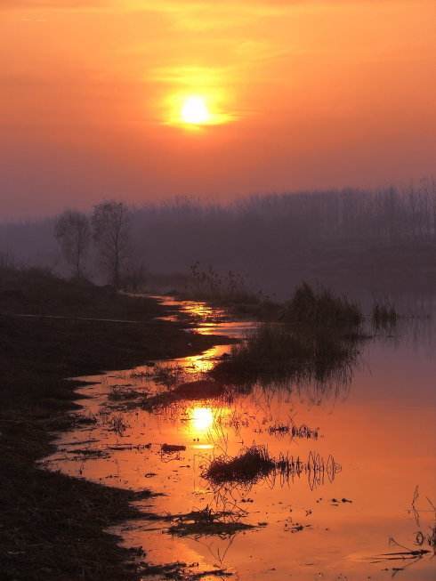 枯藤老树昏鸦,小桥流水人家,古道西风瘦马.夕阳西下,断肠人在天涯.