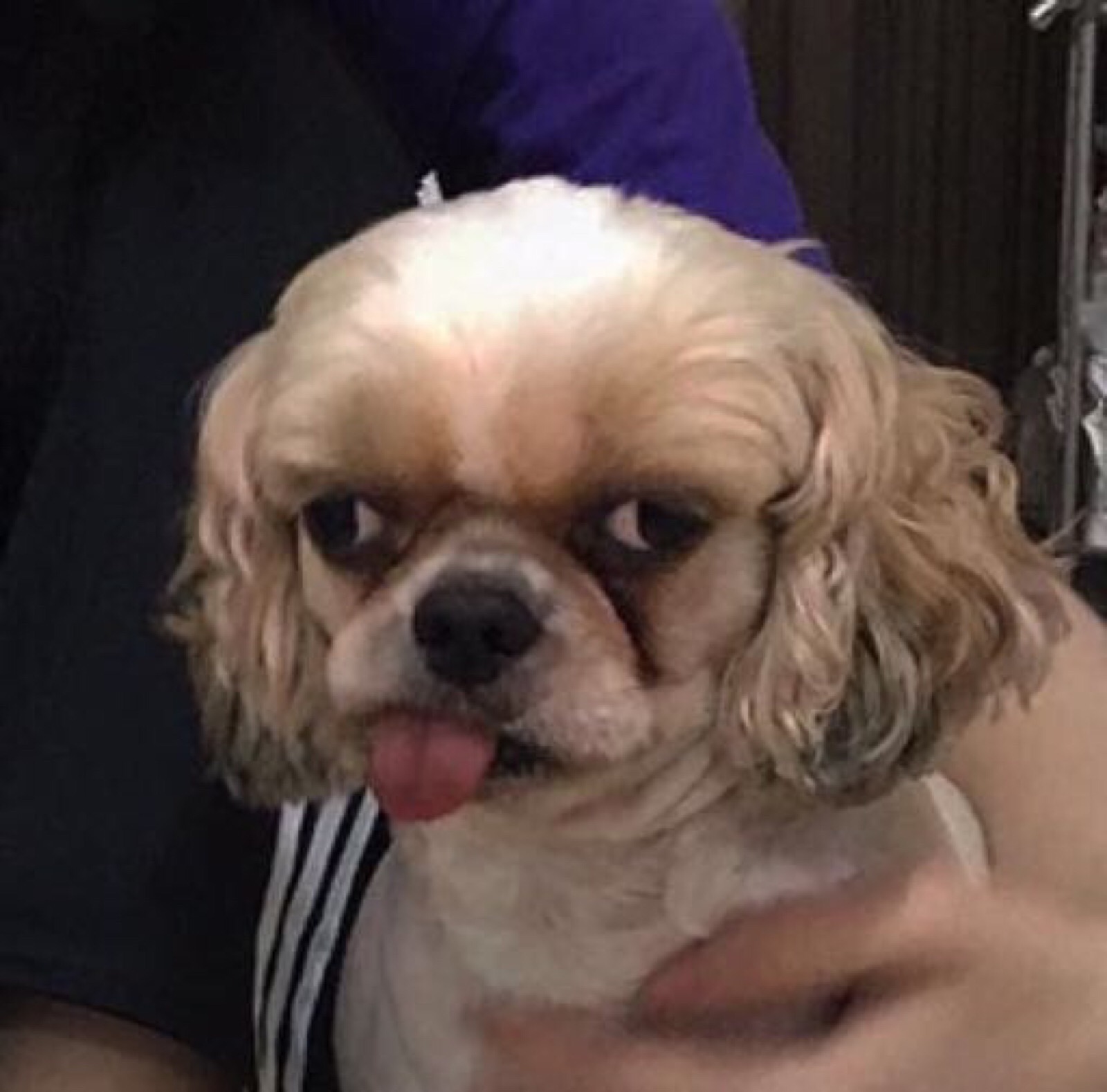 weibo:头像巨丑