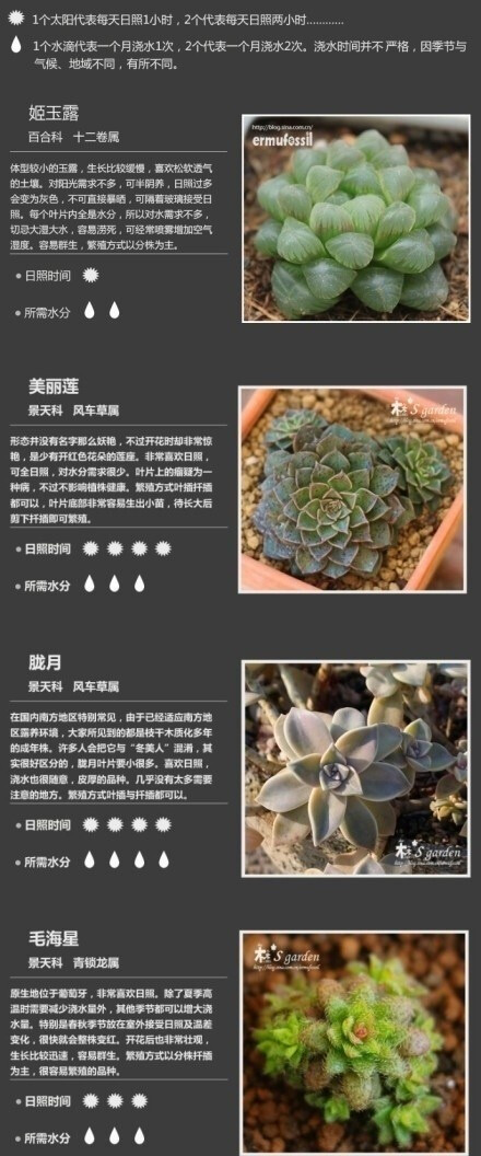 【36种常见多肉植物种植攻略】转给想种却种不好的朋友 cr.网络