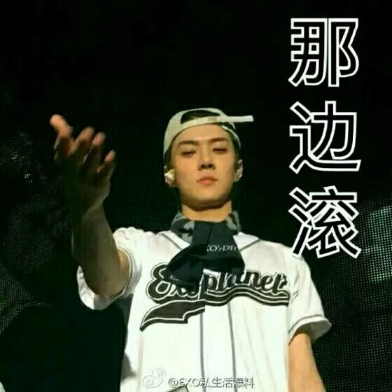 exo表情包