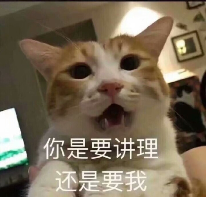 by:我叫肉肉表情包
