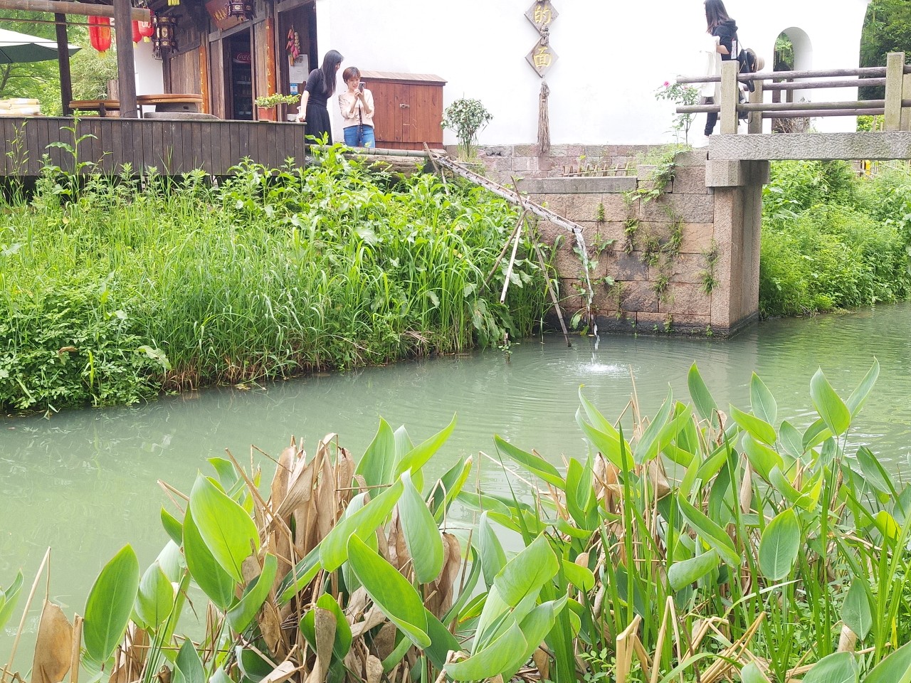 杭州 繁花似锦 亭台楼阁 水榭 蓼汀花溆