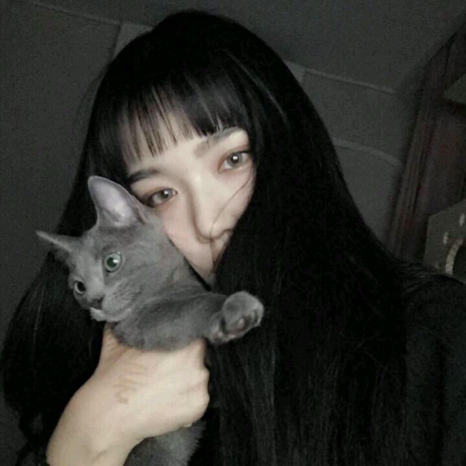 抱猫女头