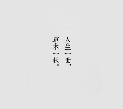 文字 个性名片