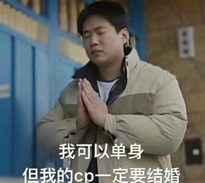 我可以单身,我的cp一定要结婚 cp粉专用表情包