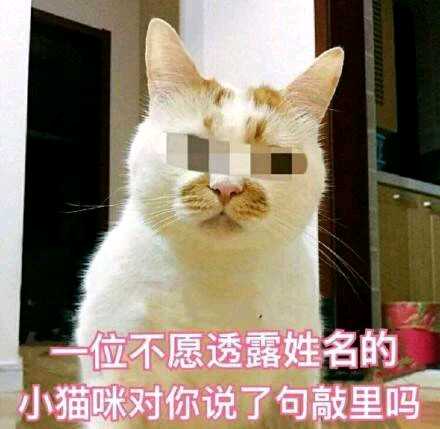 萌喵表情包卡哇伊～*