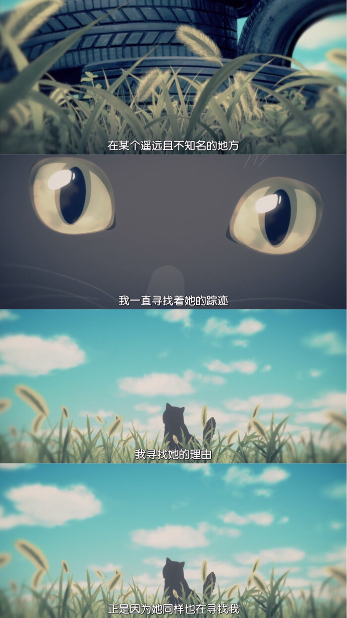 她和她的猫