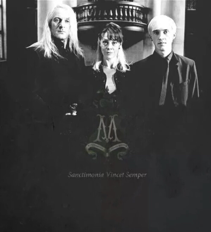 anctimonia Vincet Semper 纯正永胜--马尔福族