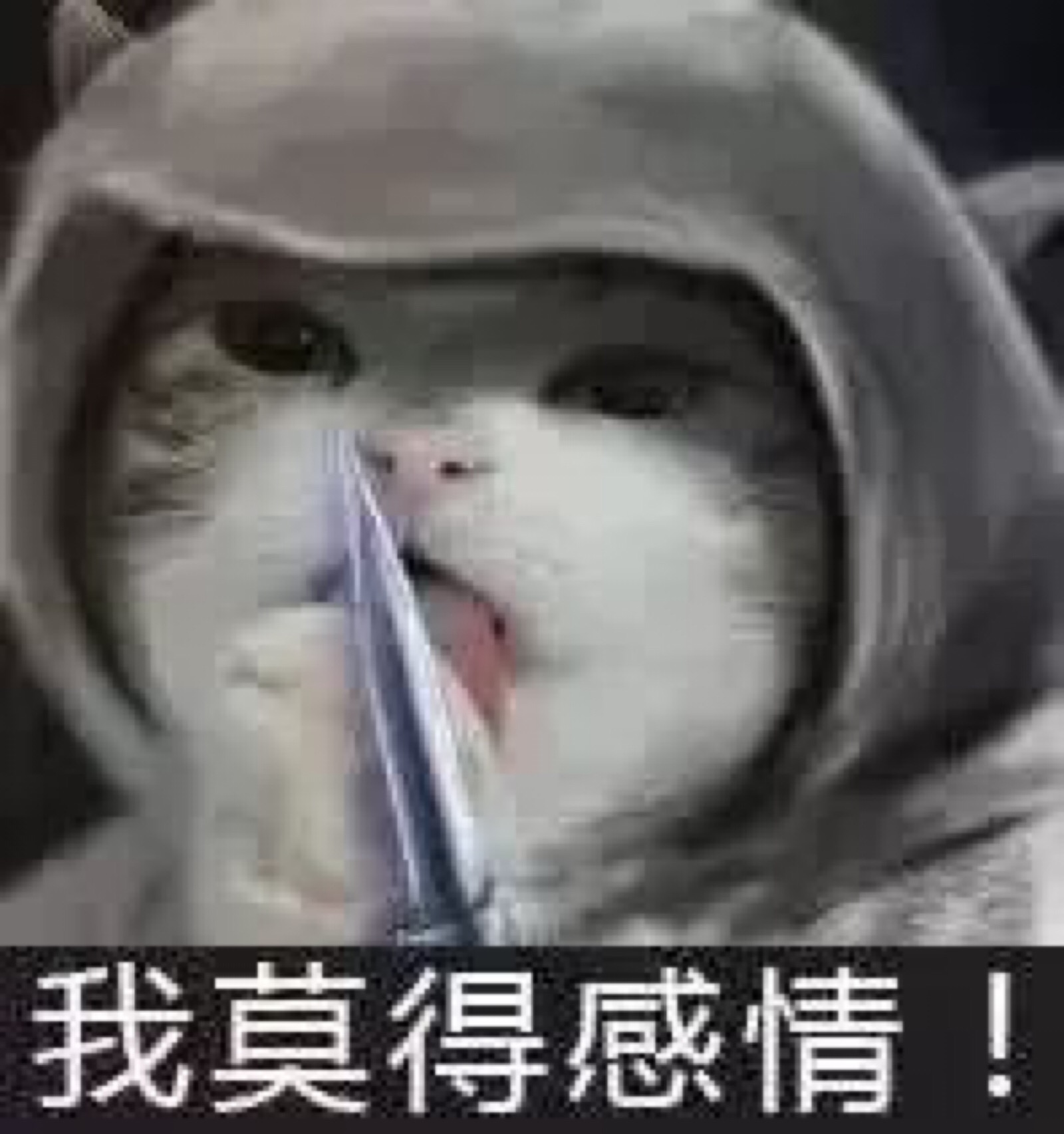 莫得感情