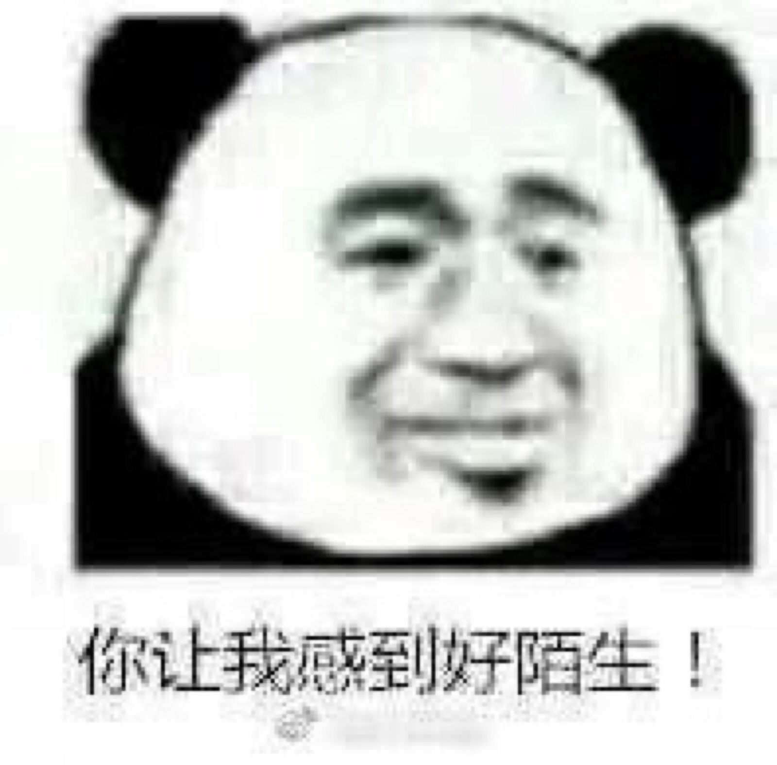表情包 熊猫