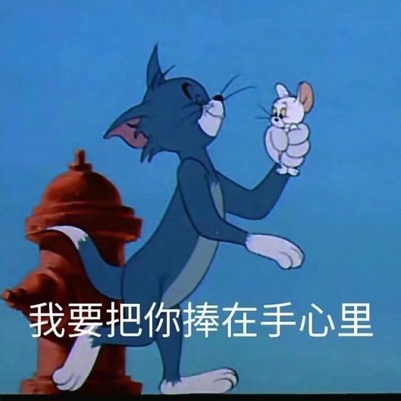 猫和老鼠 表情包 尬聊表情包 搞怪个性动漫头像 拿图点赞么么哒