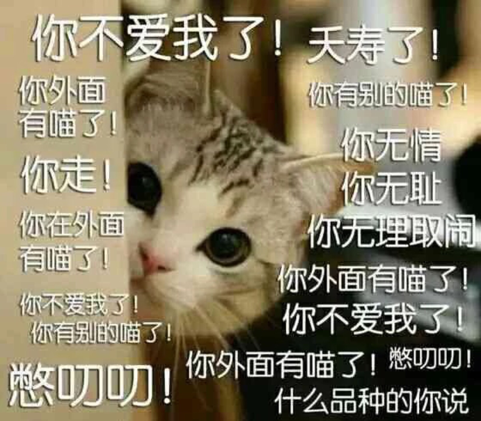 你不爱我了