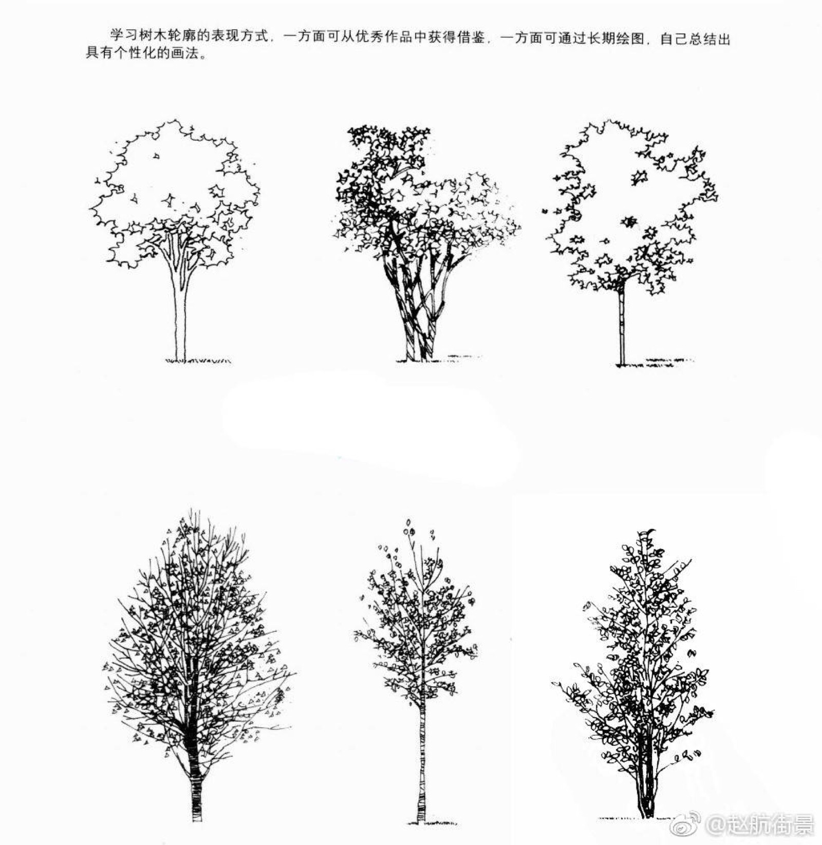 手绘表现中树的画法 (作者:@赵航街景 )