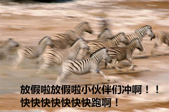 我又祭出这组国庆表情包来表达激动心情啦!下班冲啊!