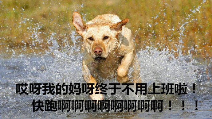 我又祭出这组国庆表情包来表达激动心情啦!下班冲啊!