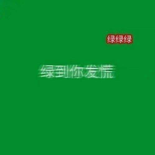 绿色系背景图 ――你婊贝