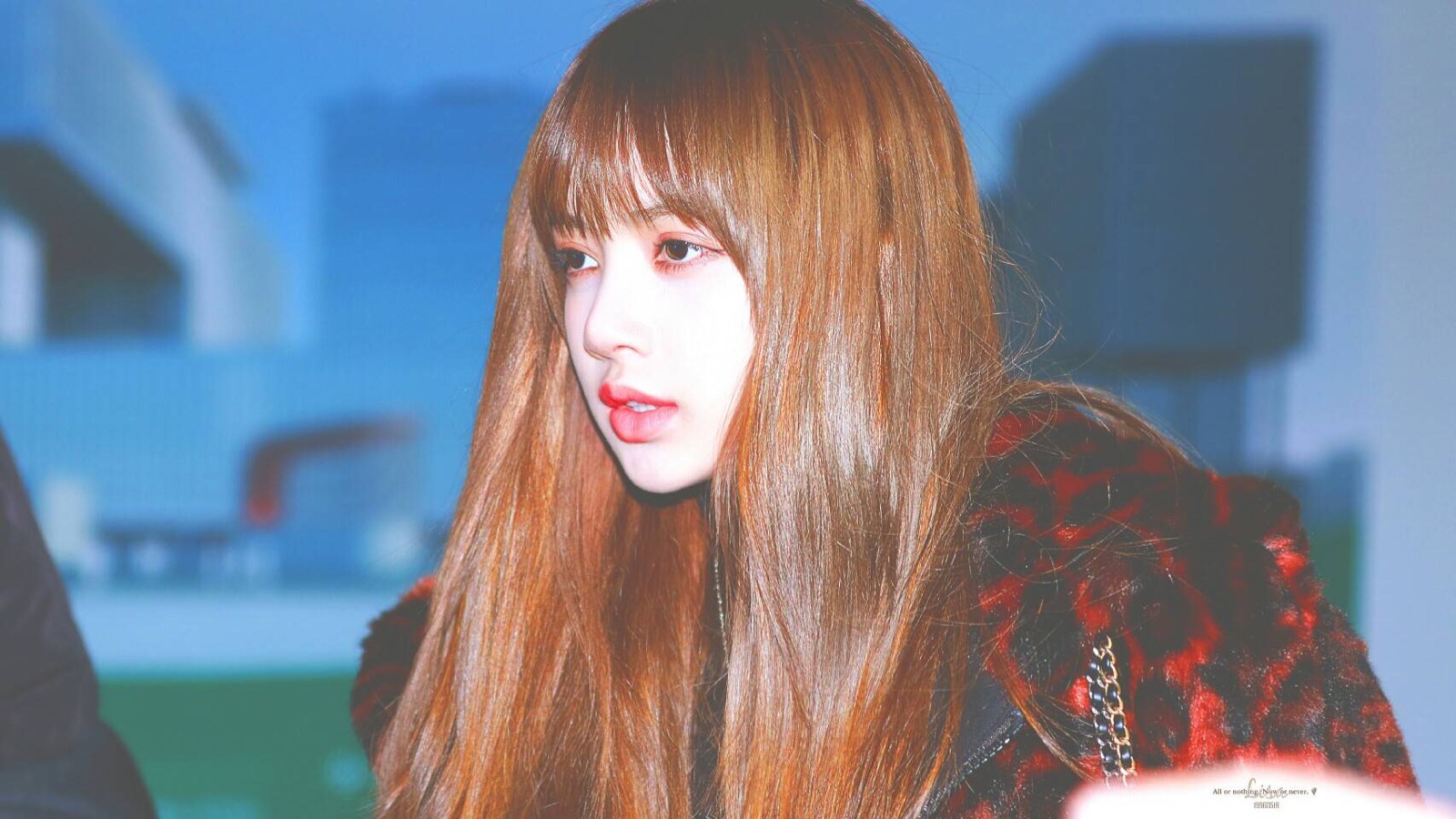 lisa 