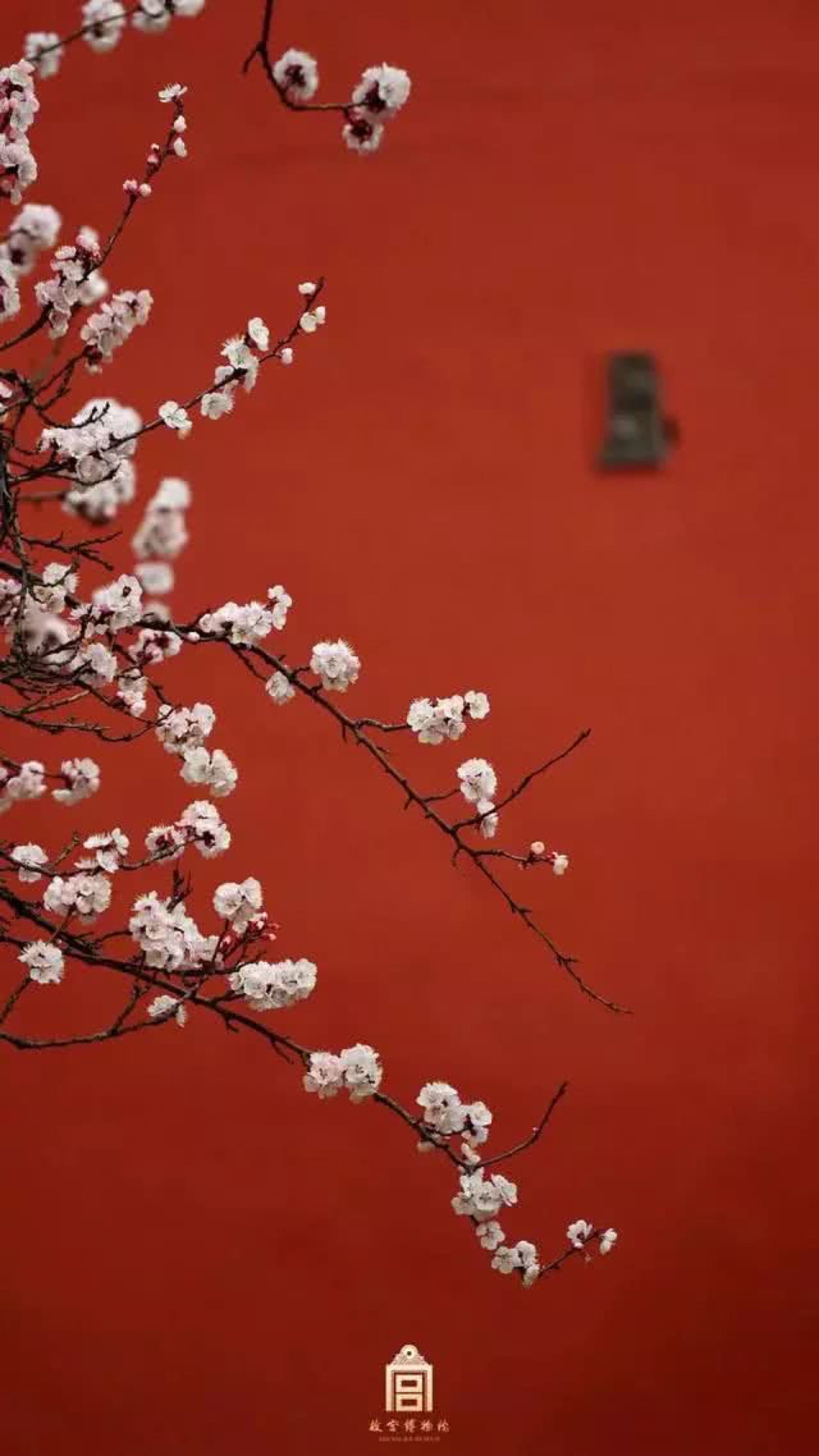 壁纸 故宫 花 风景