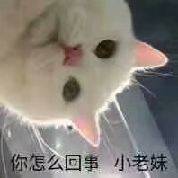 沙雕表情包