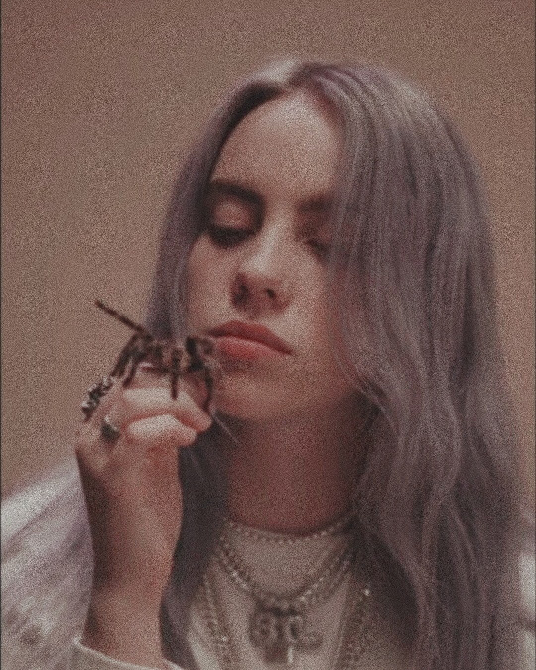 billie eilish 碧梨 蜘蛛梨