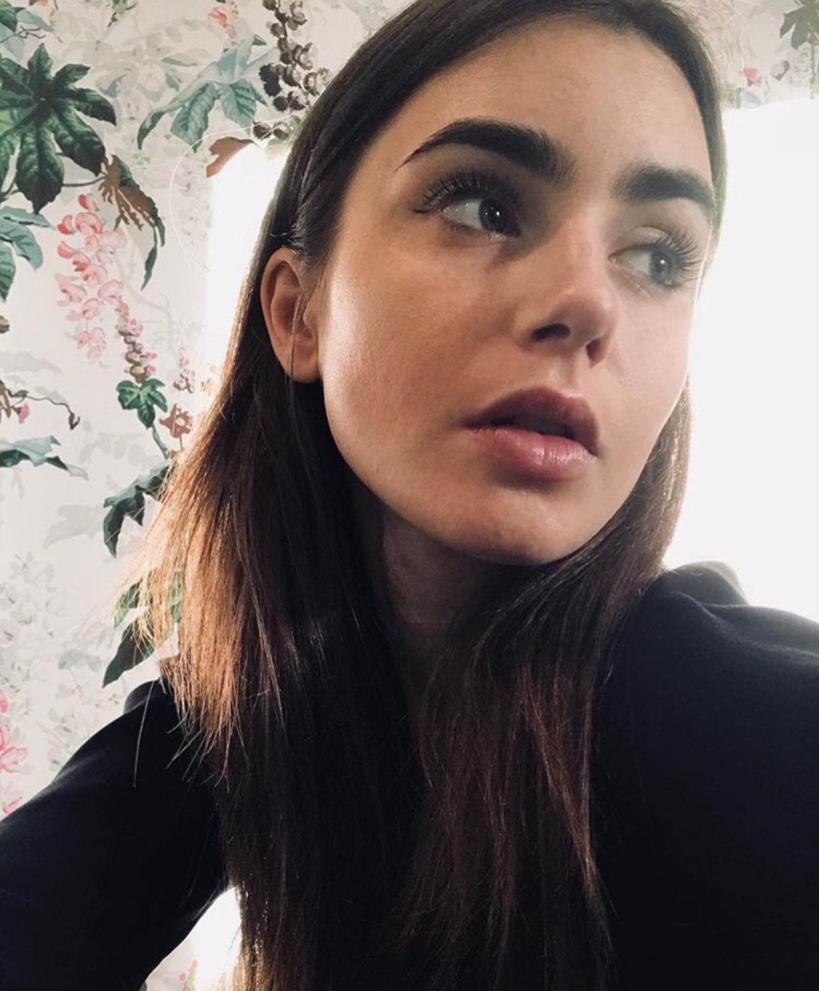 lily collins ins