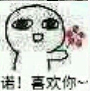 汤圆酱 