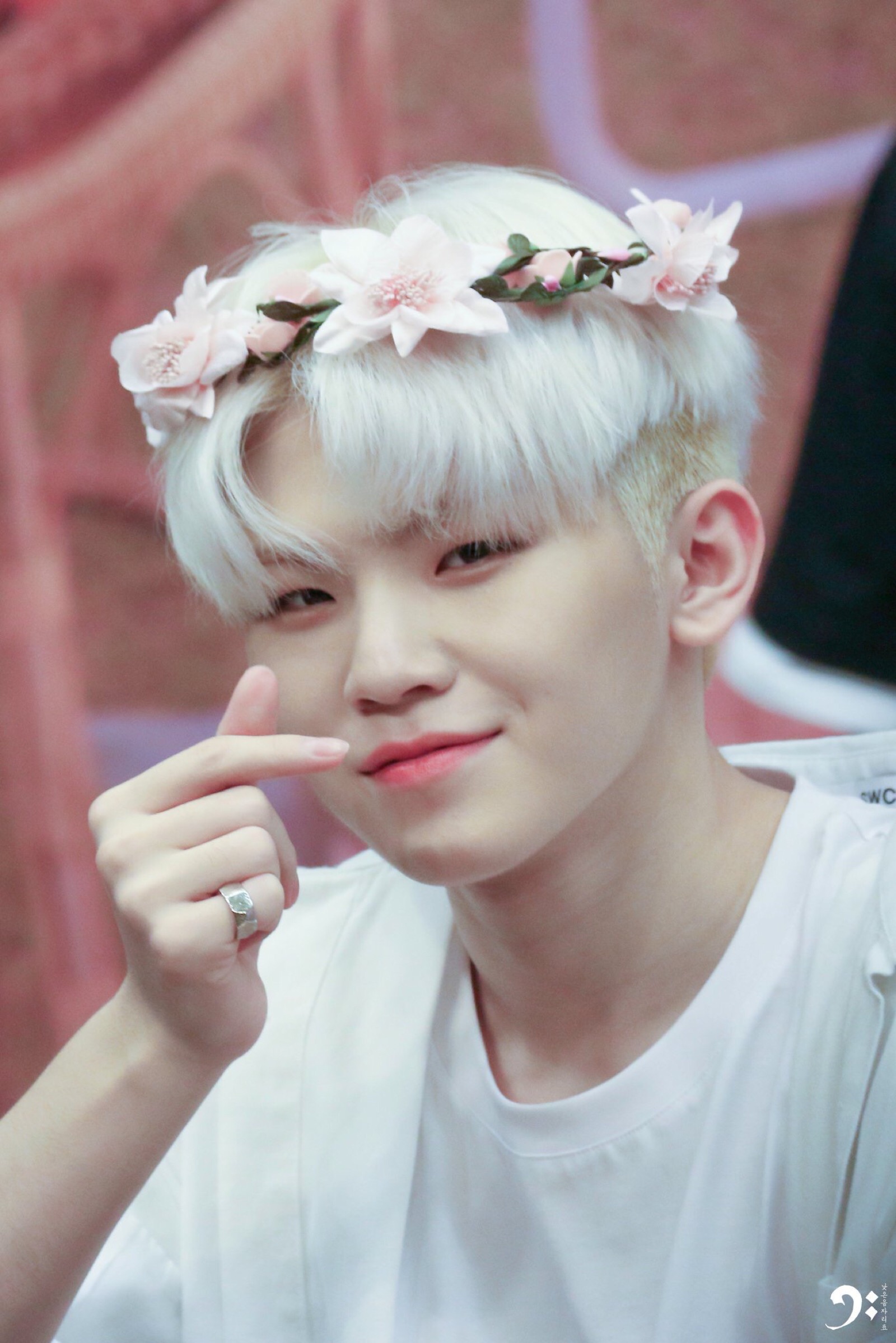 李知勋. woozi. seventeen.