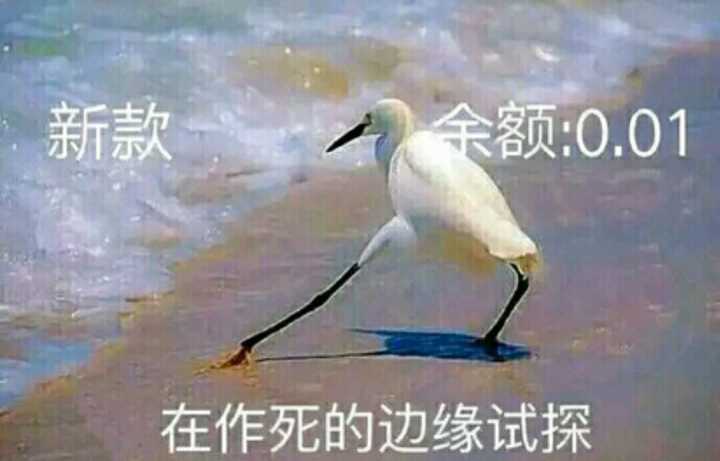 lo娘表情包 在作死的边缘试探