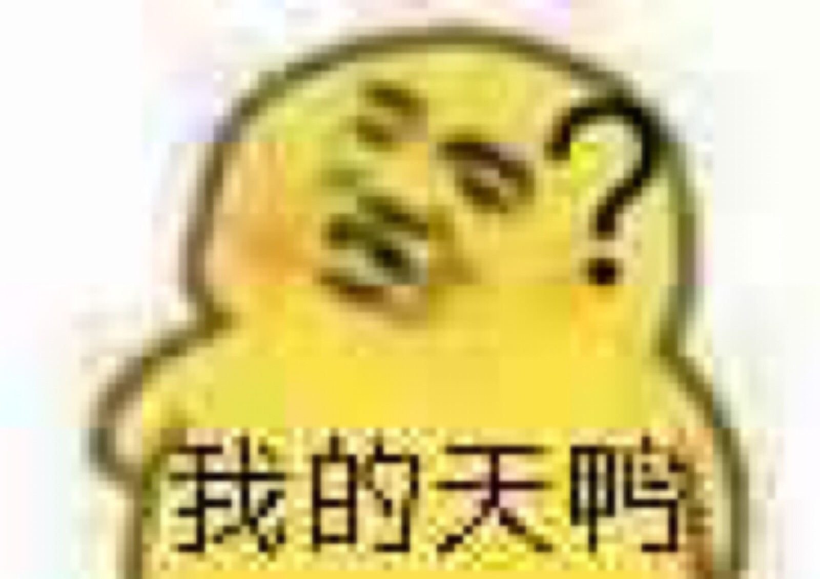 表情包 干嘛鸭!