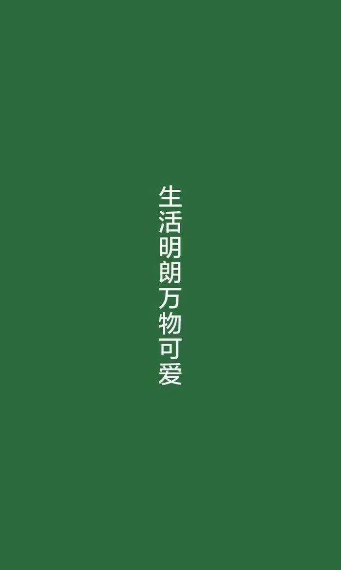 绿 壁纸 背景 文字