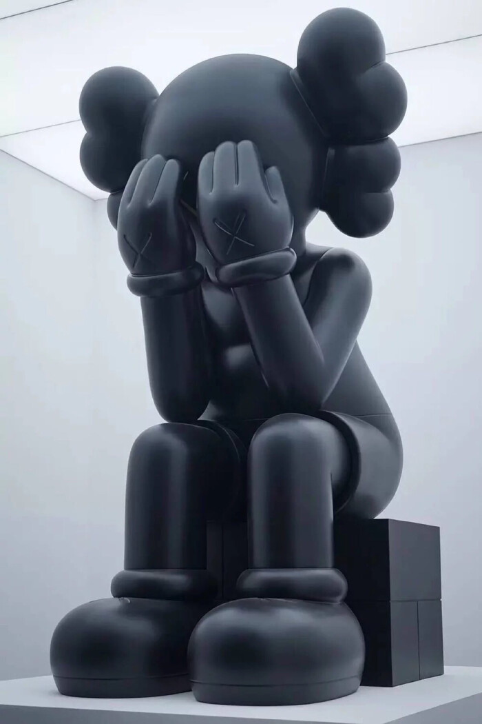 kaws 