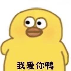 我爱你鸭