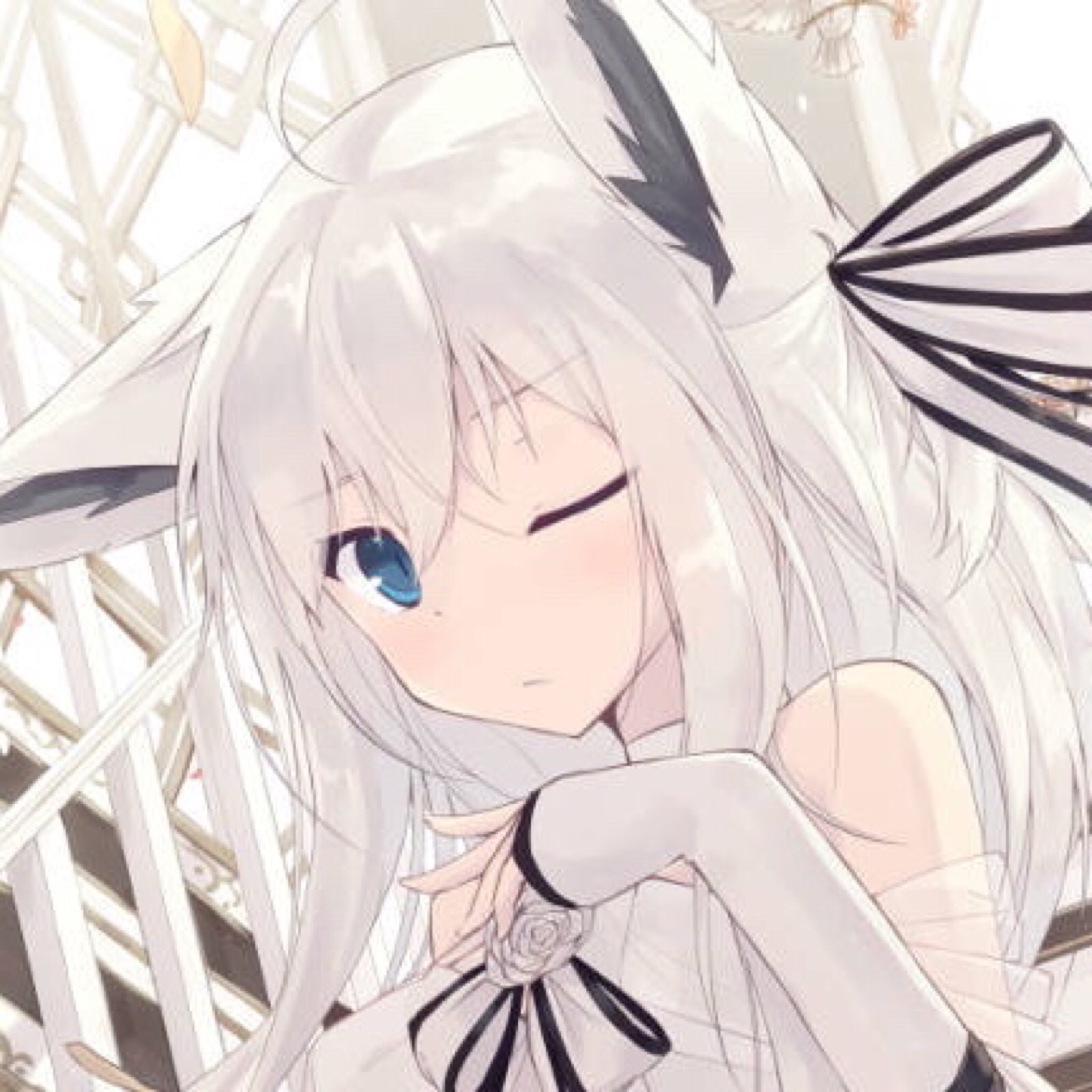 「夜」动漫女生头像 猫耳娘