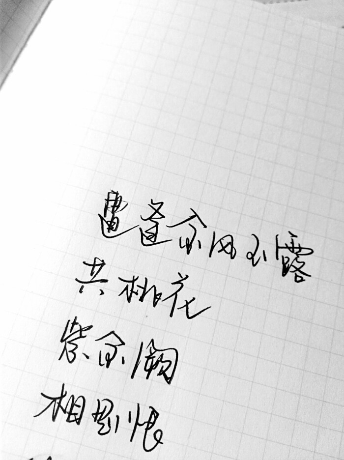 遭逢金风玉露,共桃花,紫金阙,相思恨手写文字壁纸