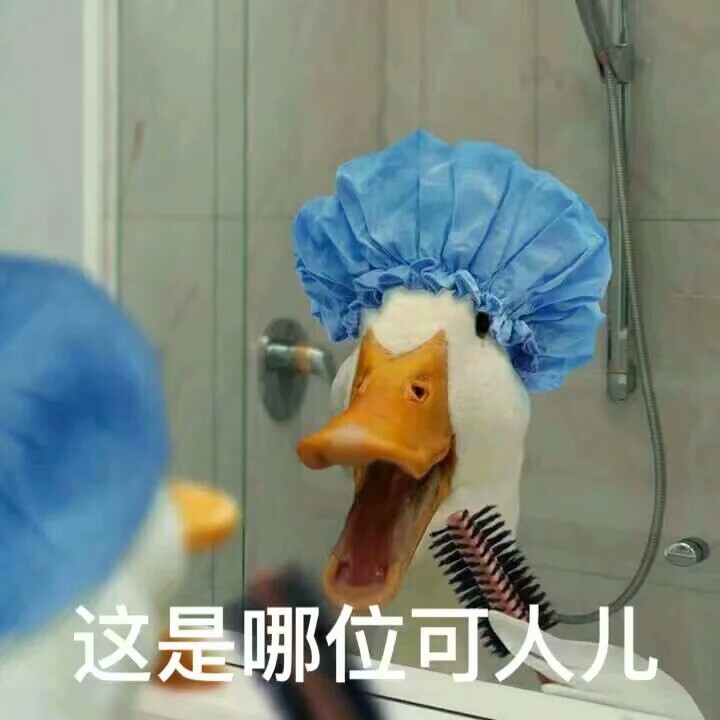 沙雕鸭鸭表情包.