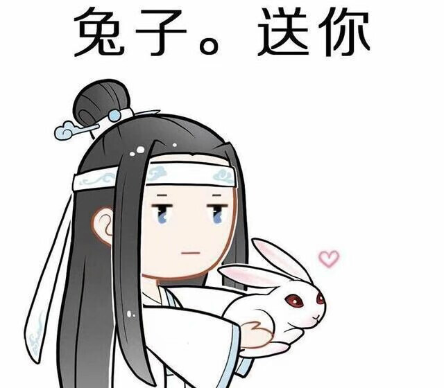 古风 头像 魔道祖师 蓝忘机表情包