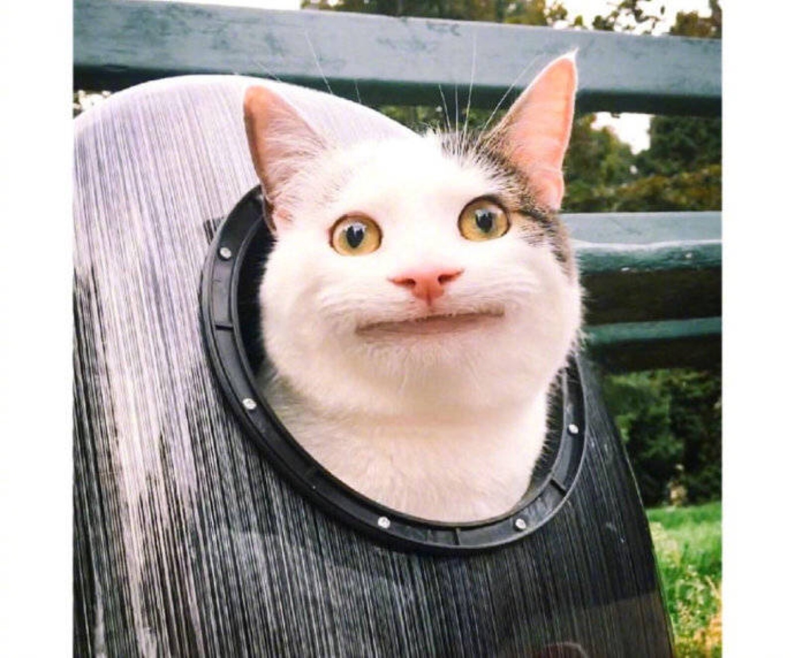 假笑