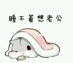 小仓鼠表情包73