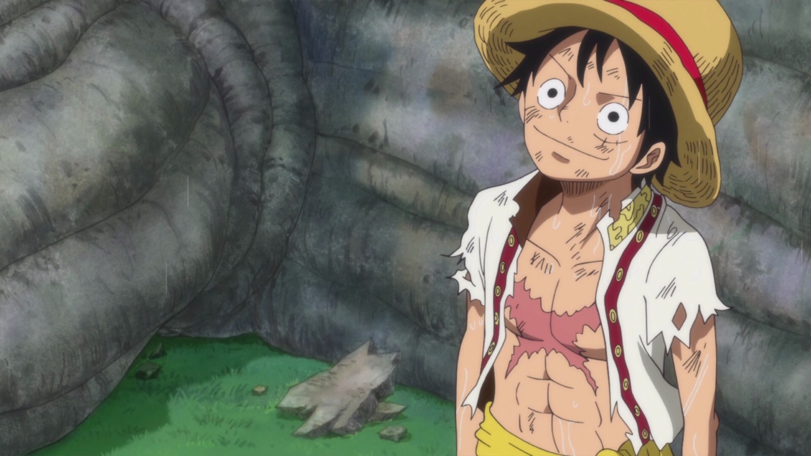 【 one piece】