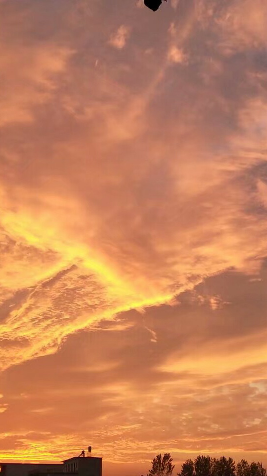 风景壁纸日出/天空/彩霞